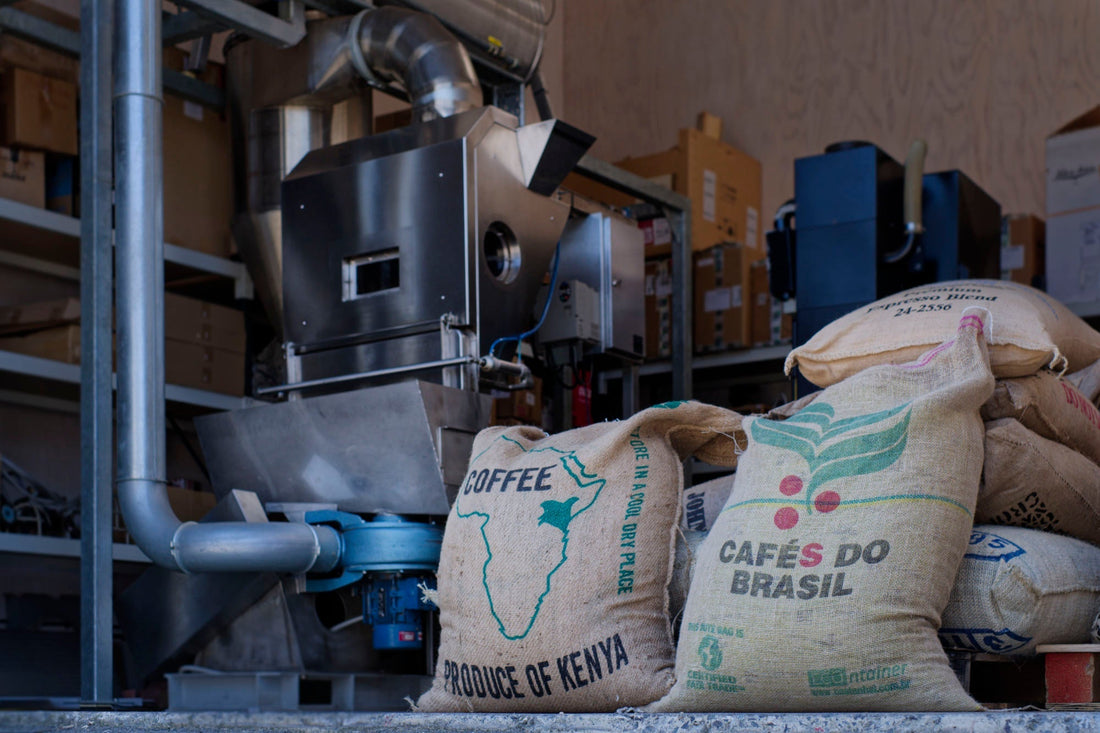 Fluid bed coffee roaster