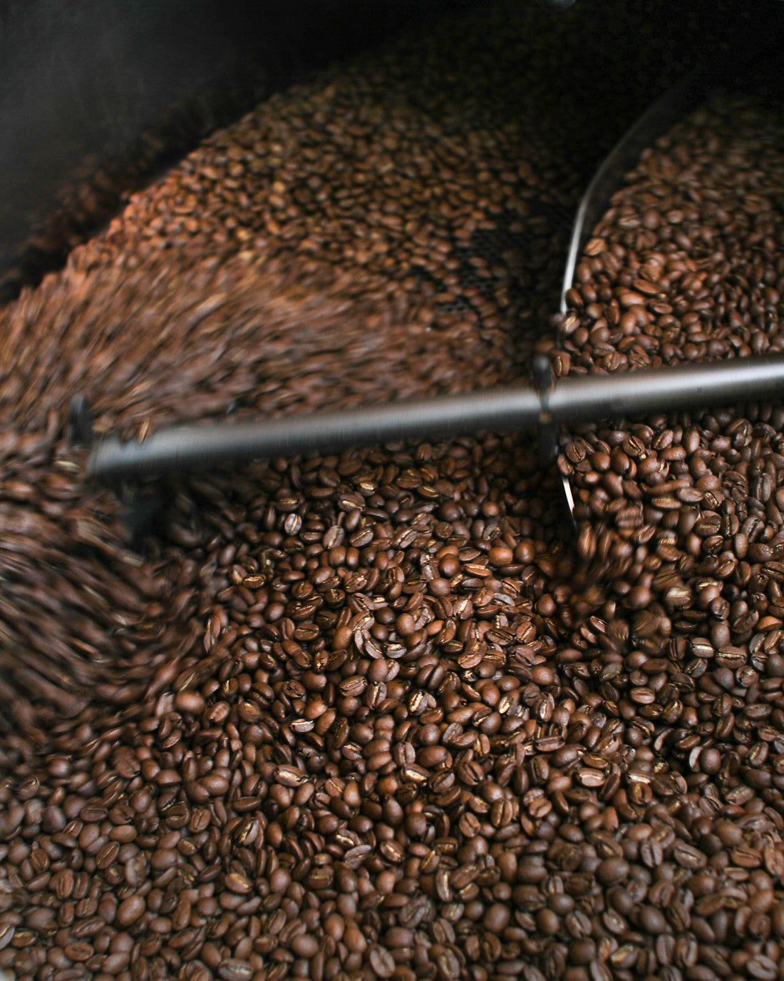 Fresh Roasted Coffee Beans: What “Fresh” Really Means and How It Changes Flavour