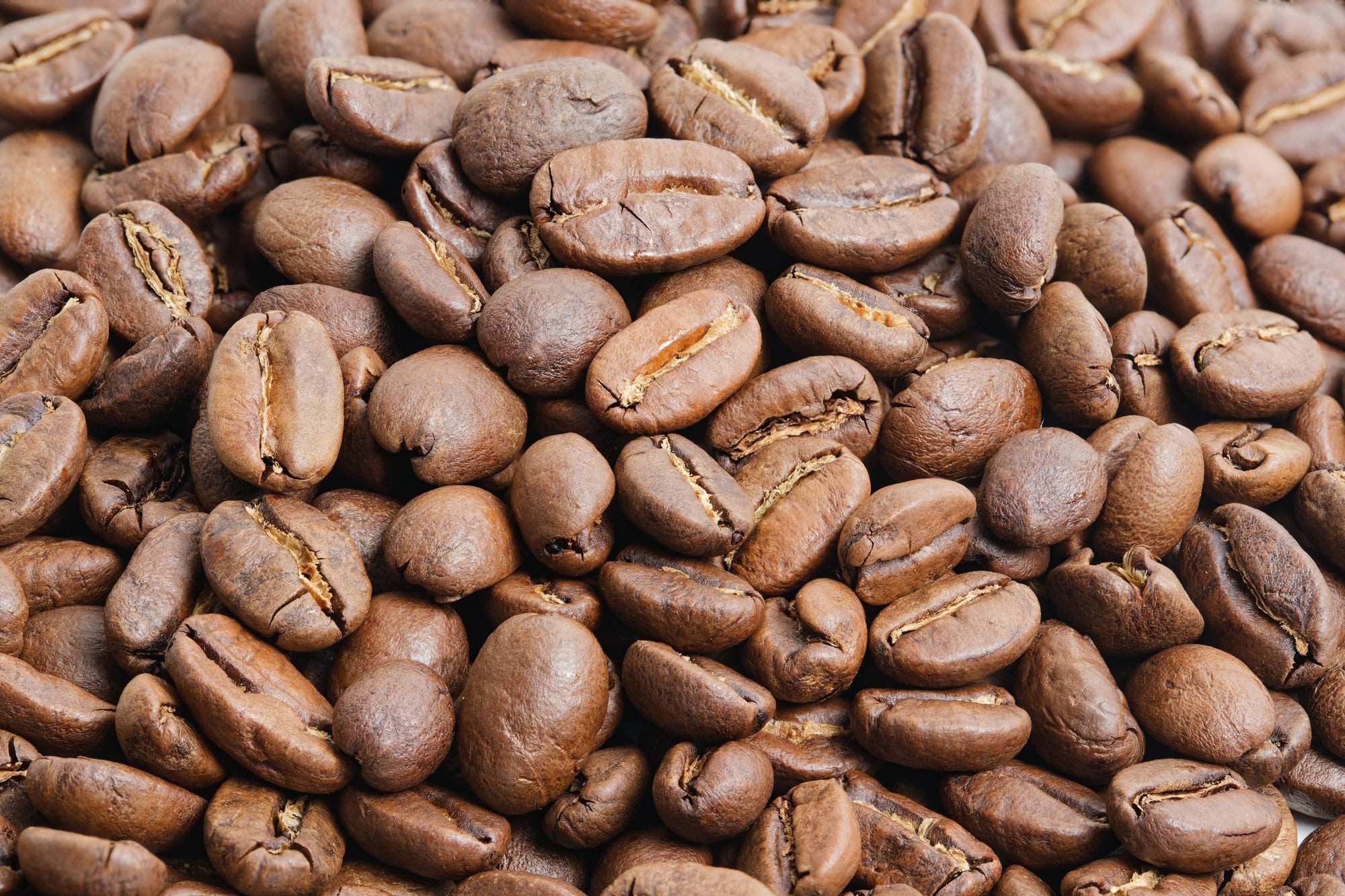 20251104-327A0280 STK_hi res.jpg__PID:52fe5a6f-f789-46c7-a5f6-ab55f76dae28