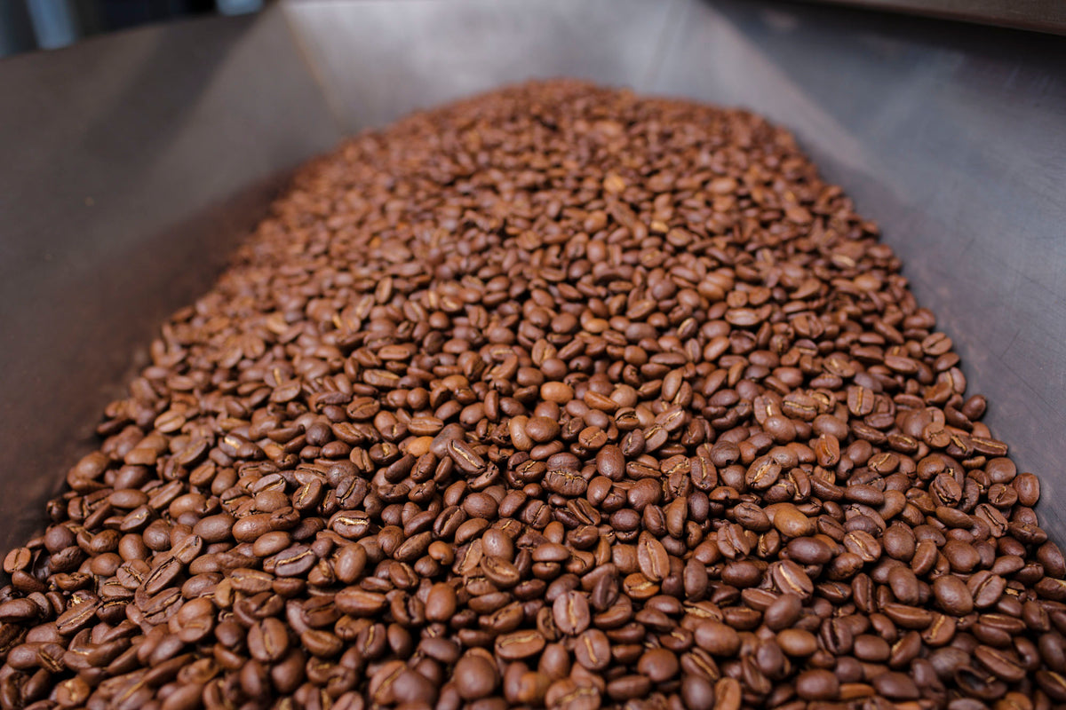 20251104-_DSF2162_lo res.jpg__PID:de53ad43-966a-464d-9857-624186631b68