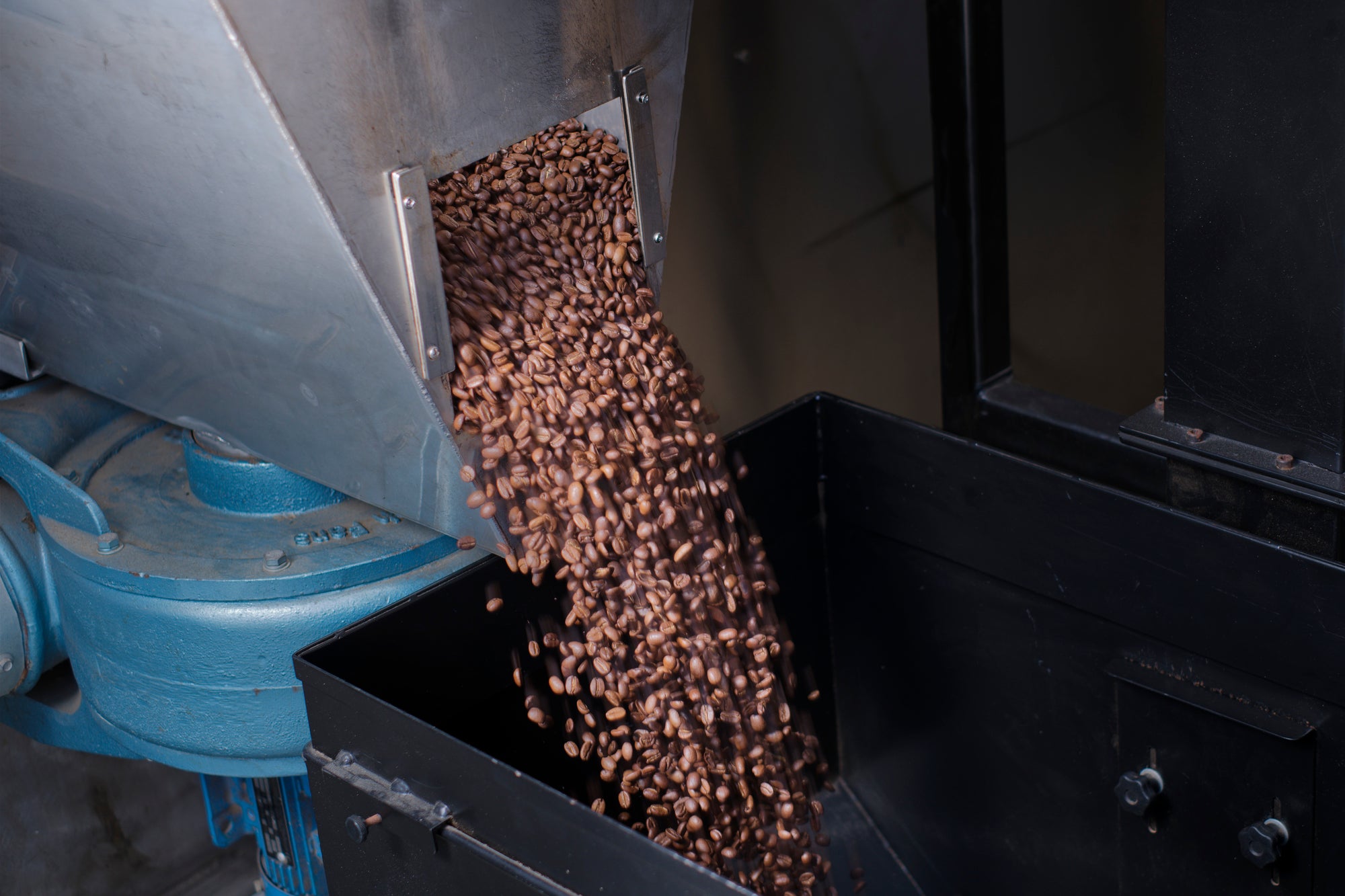 20251104-_DSF2178_hi res.jpg__PID:974b5d6f-ab05-4111-82f5-846fb8c42352