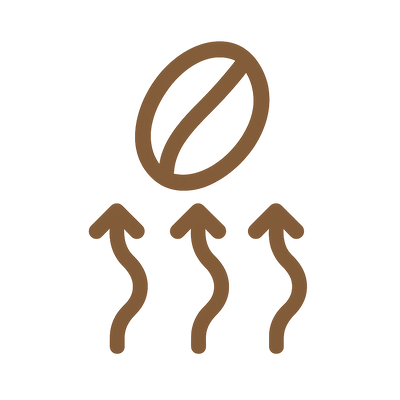 Hot Air Lifts the Beans