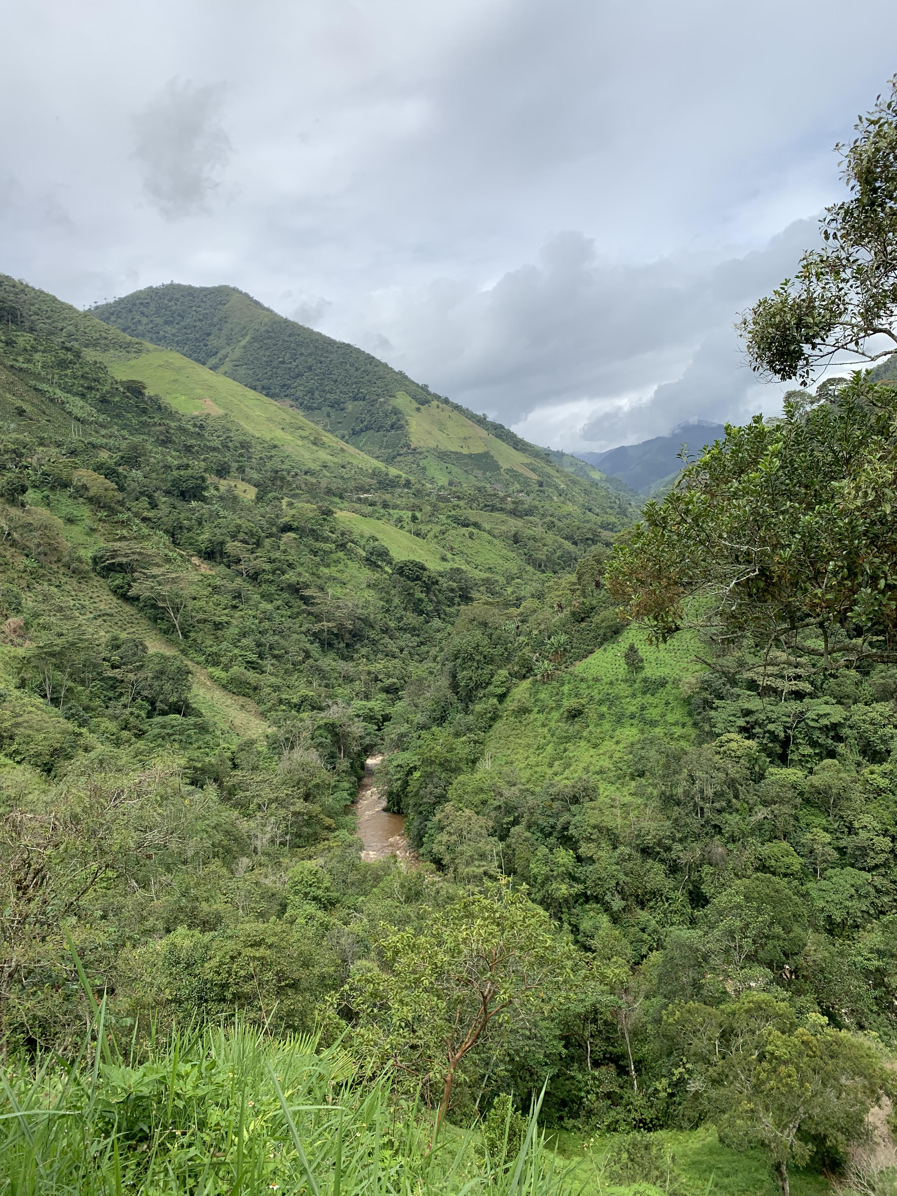 Columbian El Indio Mixed Natural