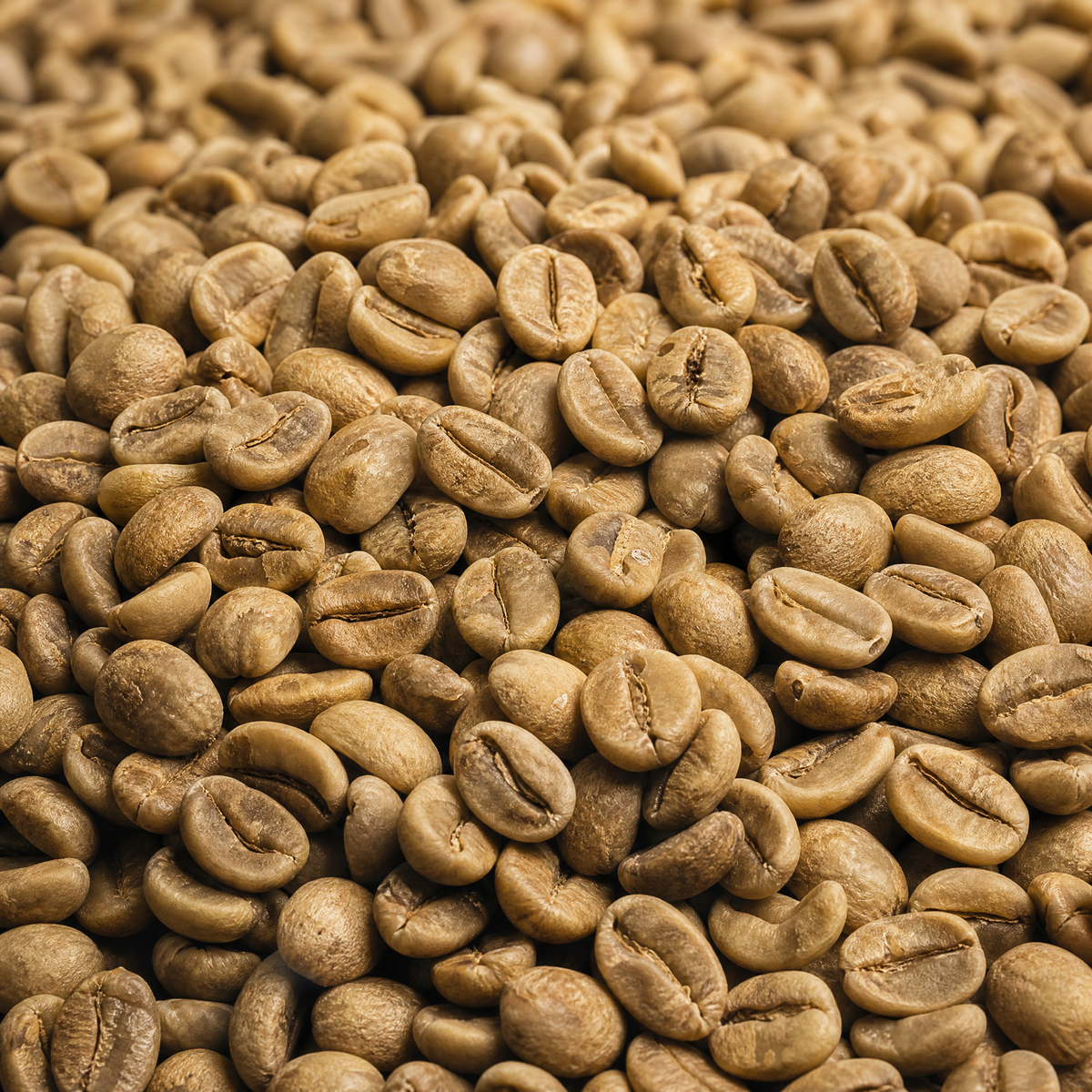 Colombia Popayan Decaf