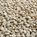 Guatemala SHB Santa Rosa Washed