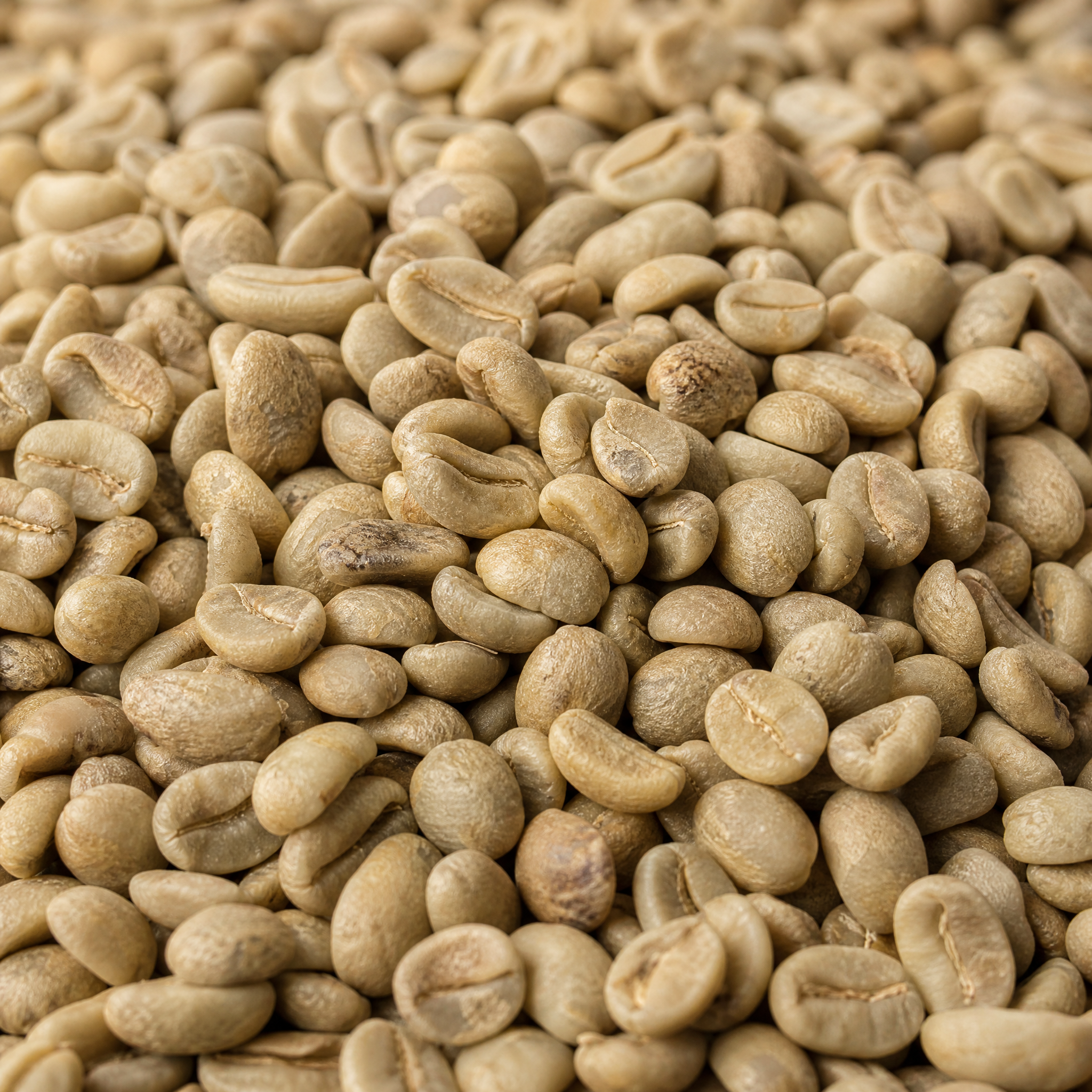 Peru La Cima Organic