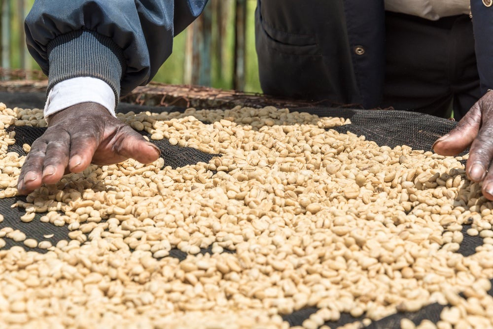 Kenyan Kiunyu AB