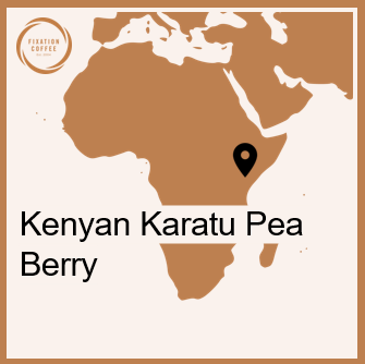 Kenya Karatu Pea Berry