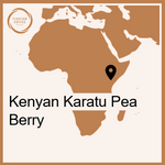 Load image into Gallery viewer, Kenya Karatu Pea Berry

