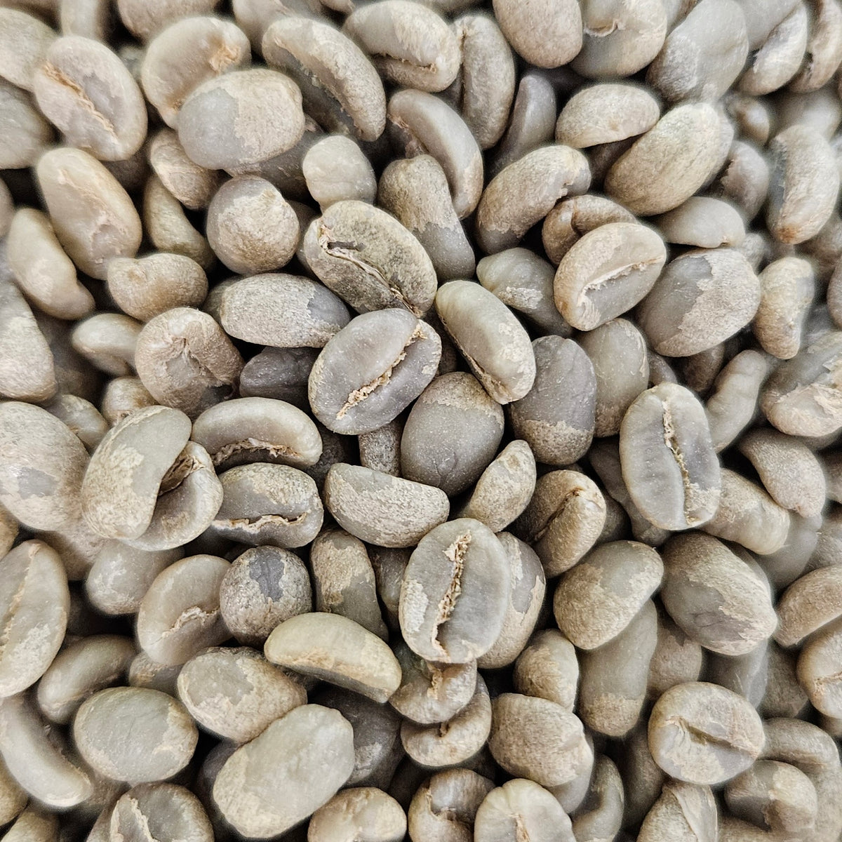 Kenyan Kiunyu AB