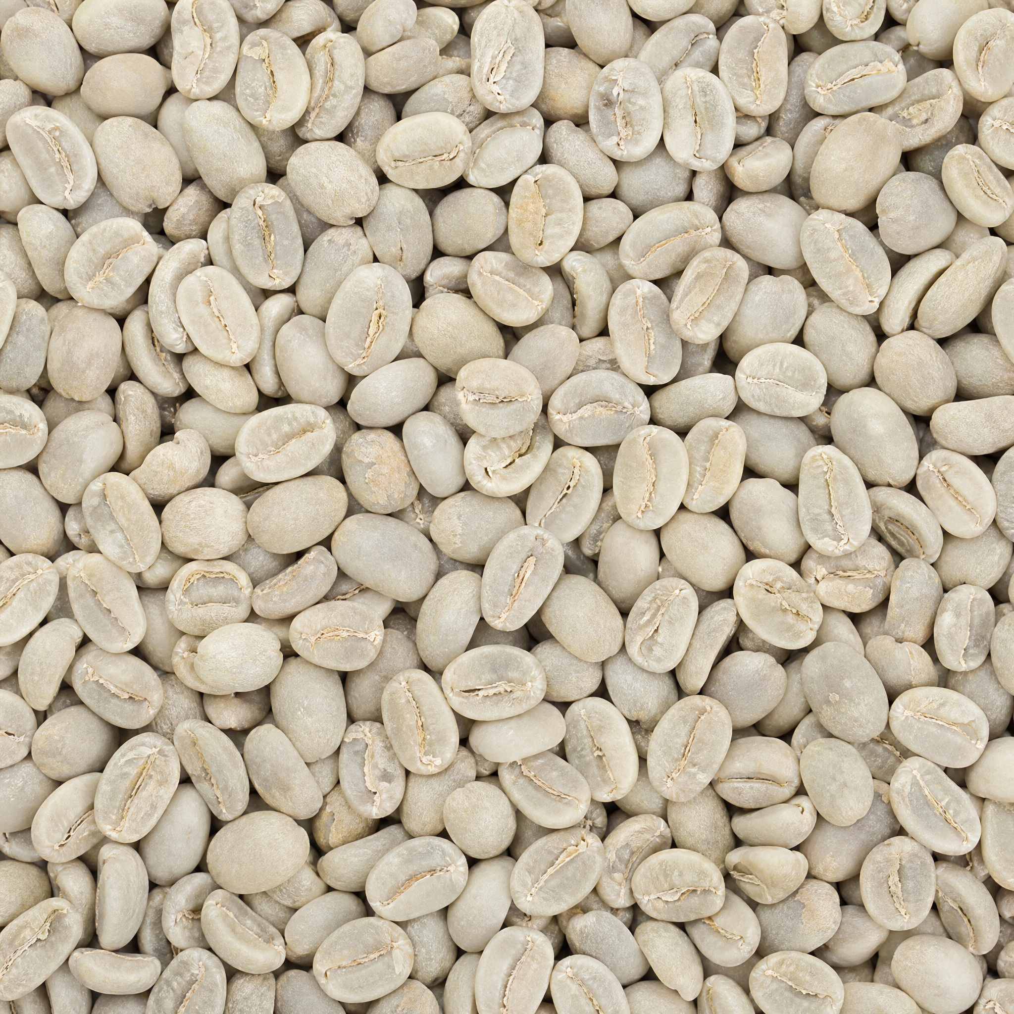 Colombia Luz Helena Salazar Caturra Washed
