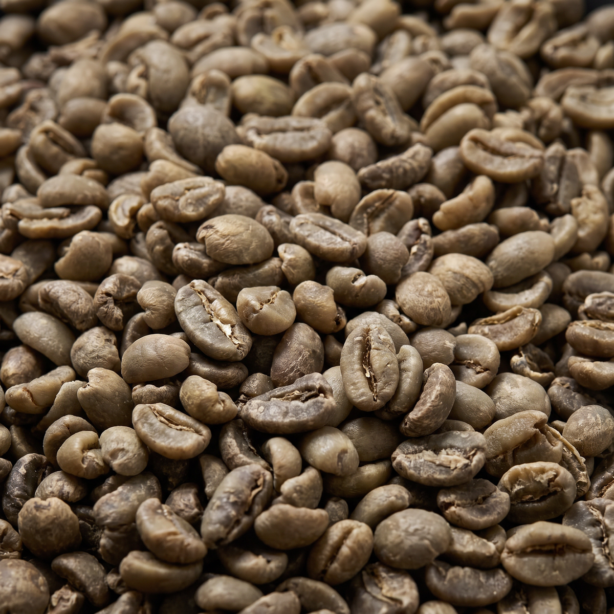 Swiss Water Decaf Espresso Blend