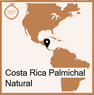 Costa Rica Palmichal Natural