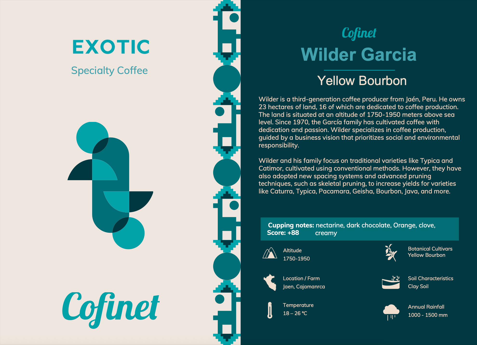 Peru Yellow Bourbon Washed