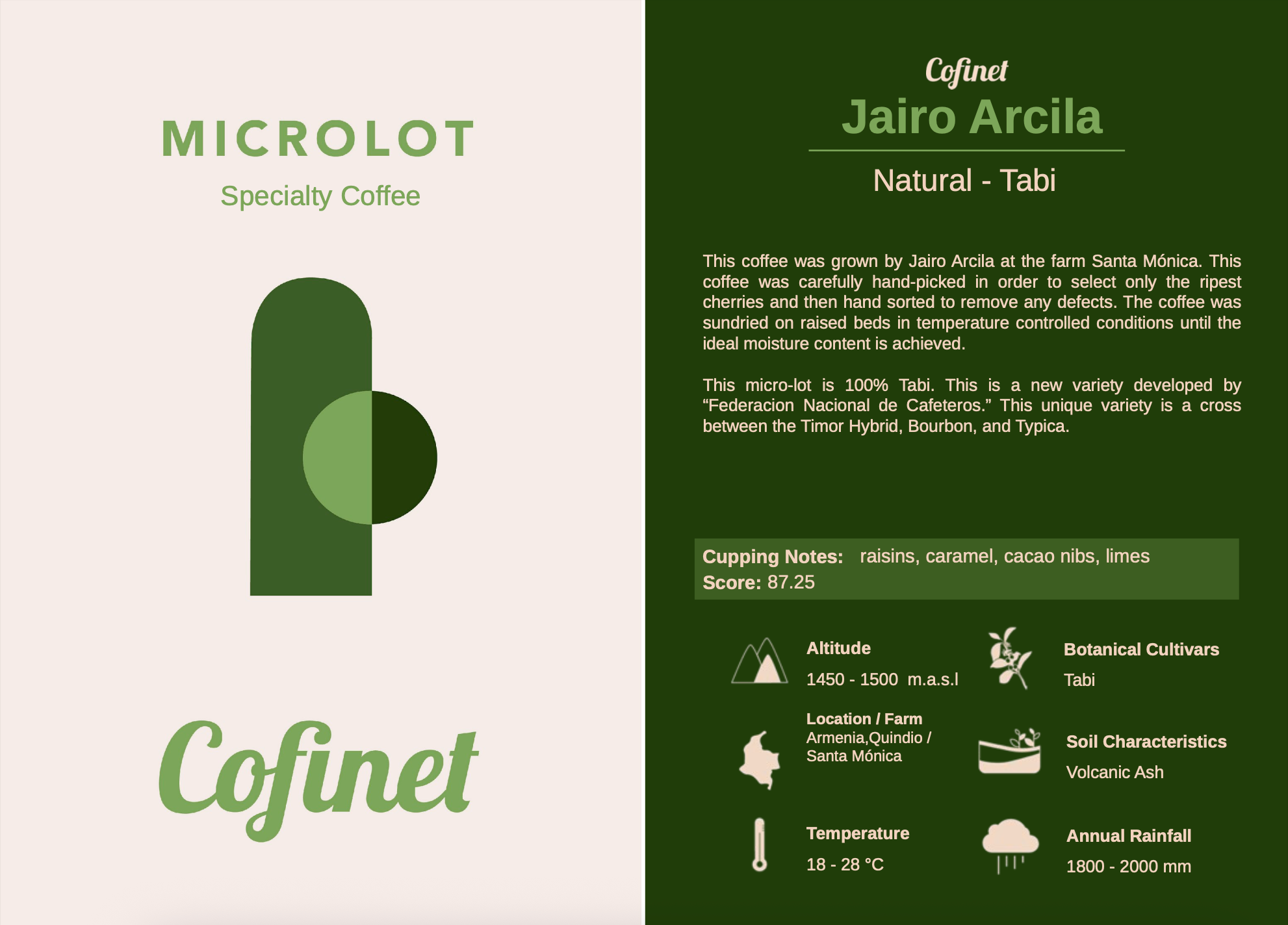 Colombian Jario Arcila Tabi Natural