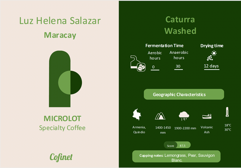 Columbian Caturra Washed