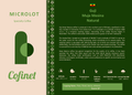 Ethiopian Guji Muje Mesina Natural